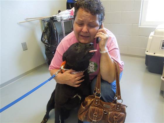 Central OK Humane Society