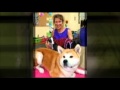 online pet grooming schools.mp4