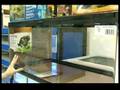 How to Care for a Turtle : Pet Turtles: Aquarium
